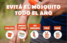 Evitemos el mosquito entre todos