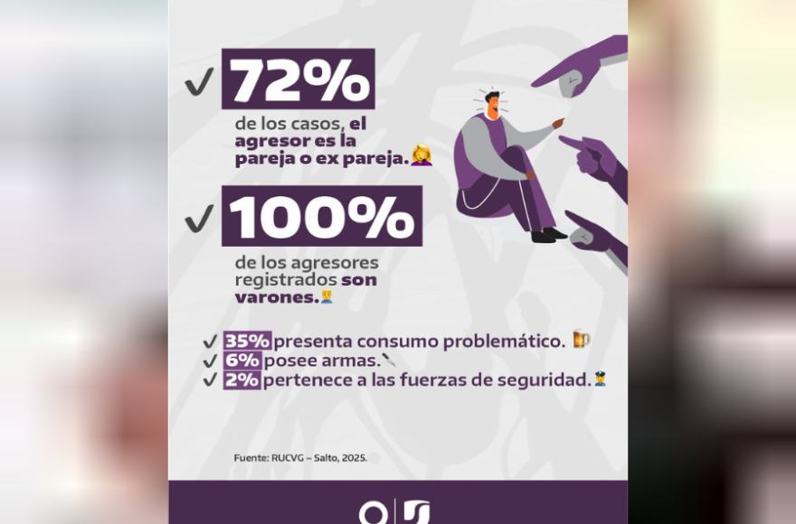 El 100 por ciento de los agresores es varón.