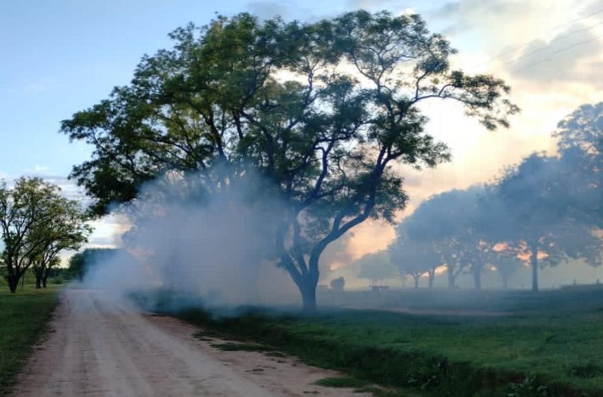 Guerra contra el mosquito.