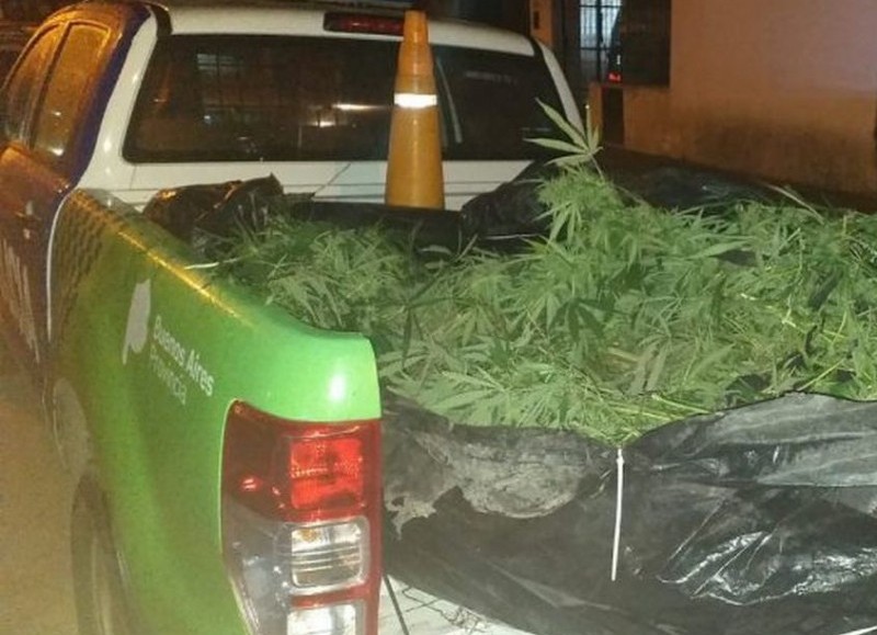 Plantas secuestradas.