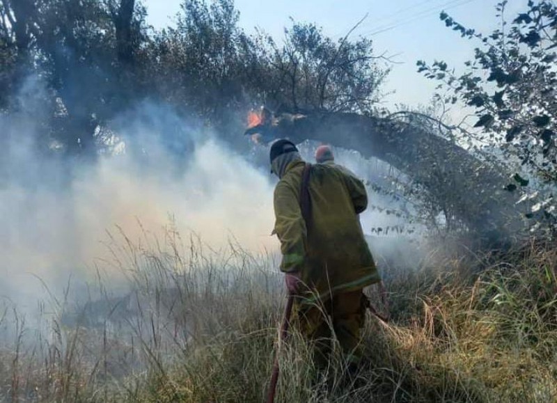 Intensa labor de los bomberos locales.