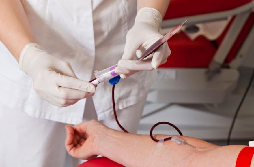 Área Hemoterapia.