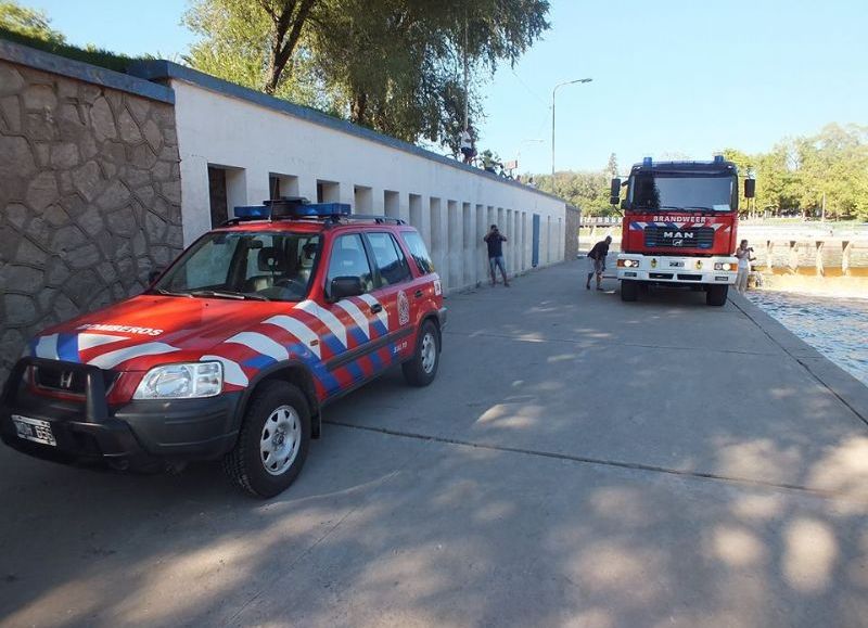 El penoso suceso ocurrió el 12 de noviembre del año pasado.