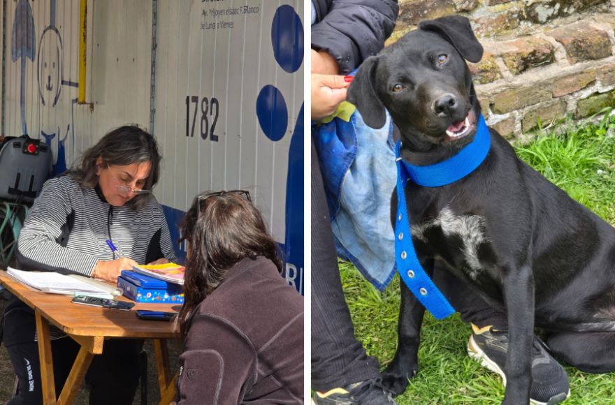 Se llevó adelante una nueva jornada gratuita de castración en el Barrio Retiro.