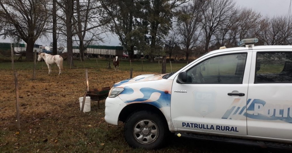 Fueron retenidos por la Patrulla Rural.