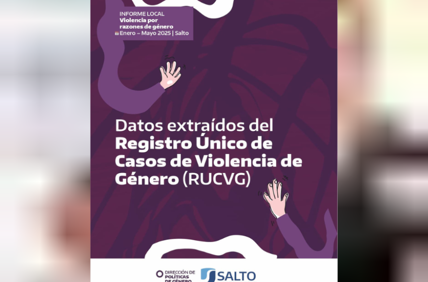 El municipio publicó un informe local sobre violencia por motivos de género.