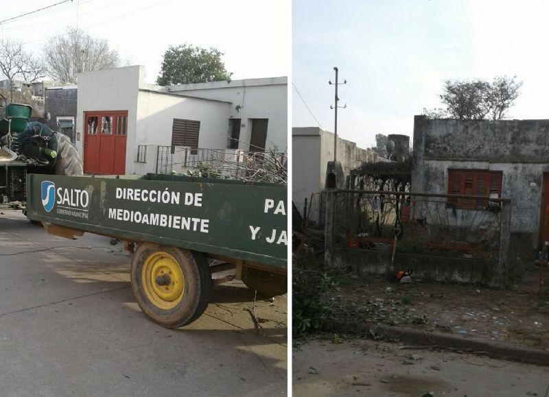 Tareas a cargo del Municipio.