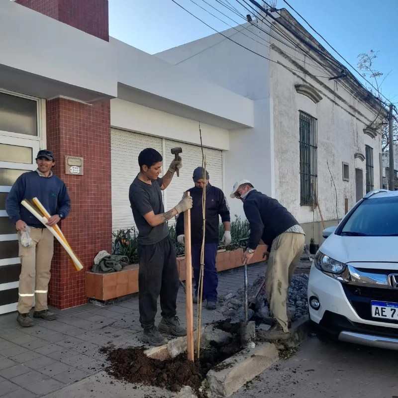 Cuadrilla en plena labor.