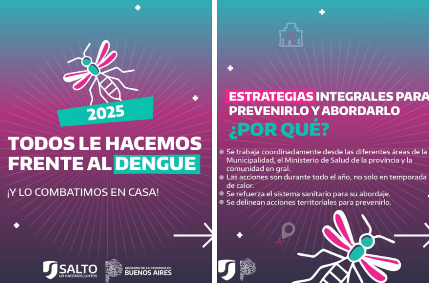 Se recuerdan las medidas clave para combatir al mosquito transmisor en los hogares de la ciudad.