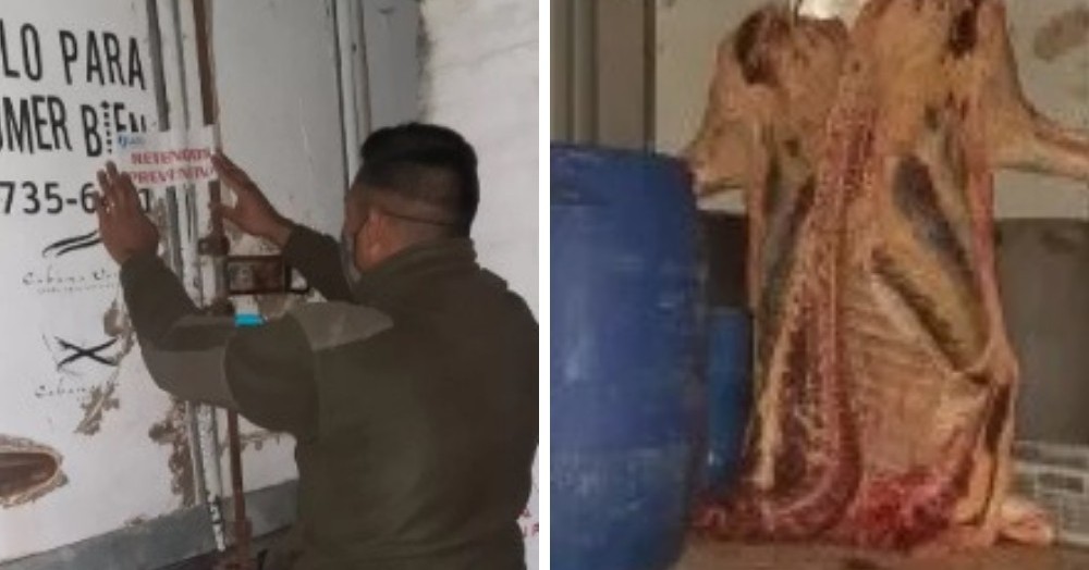 La carne era transportada en un camión cuyo conductor aseguró no estar llevando mercadería.