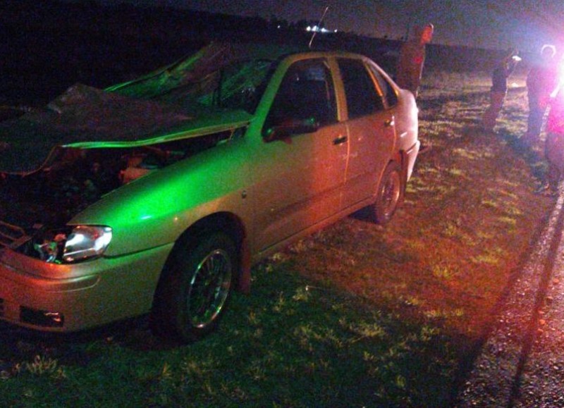 Gran susto (foto: Salto Policiales).