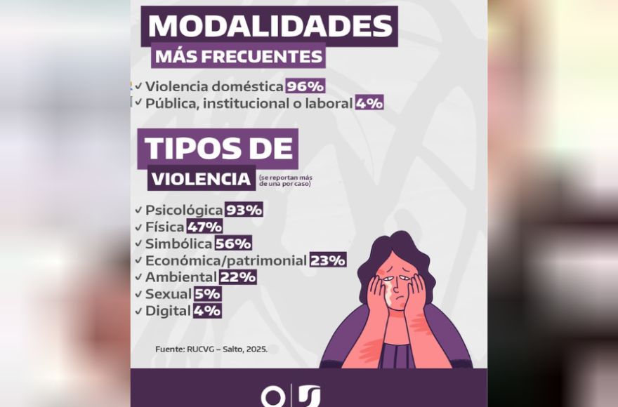 La violencia doméstica es la modalidad más frecuente.