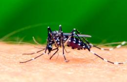 Vacunación contra el dengue