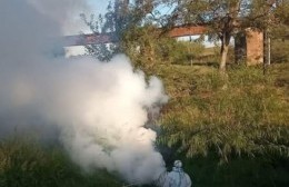 El municipio reforzó las tareas de fumigación