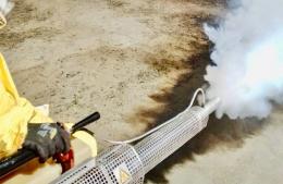 Continúan los trabajos de fumigación y desinfección
