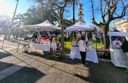 Gran jornada artística y de feria en la Plaza San Martín