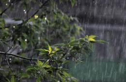 Alerta amarilla en la ciudad