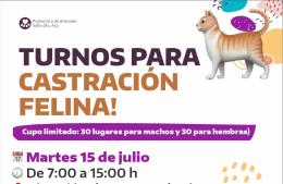 Nuevos turnos para castraciones felinas