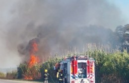 Un camión se prendió  fuego y provocó incendio forestal