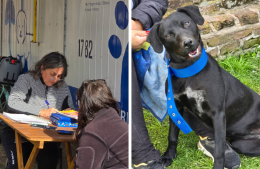 Se realizó una nueva jornada de castración gratuita