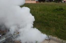 Continúa el plan intensivo de fumigación