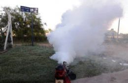 Operativos de fumigación en diferentes puntos de la ciudad