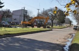 Corte sectorial en Avenida Italia