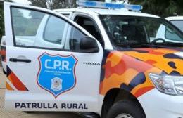 Accidente ocasionado por vacas sueltas en la Ruta 31