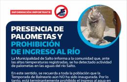 Presencia de palometas y prohibición de ingreso al río