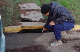 Nuevo operativo de desinsectación y desratizado