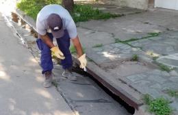 Continúan los operativos de desinsectación y desratización