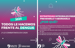 Recomendaciones para combatir al dengue en Salto