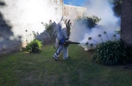 La fumigación no para
