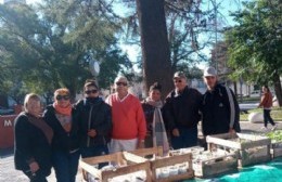 En el Día Internacional del Ambiente: regalaron plantines en la Plaza San Martín