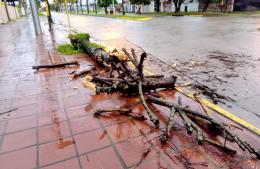 Tareas intensivas tras la tormenta que afectó nuevamente a la ciudad