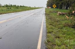 Habilitaron el tránsito en la Ruta 31