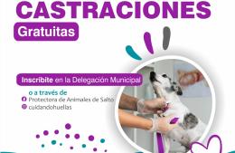 Sanidad animal: castraciones gratuitas en Gahan