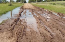 La irresponsabilidad de un vecino frena el cronograma de arreglo de calles