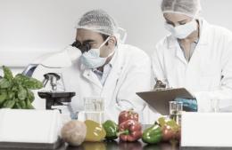 Tecnicatura en Producción de Alimentos, la nueva propuesta en el Centro Universitario Municipal