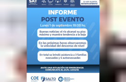 Comienza a descender el nivel del río