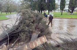 Temporal: el municipio trabaja por los daños ocasionados