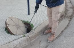 Siguen los trabajos de desinsectación y desratizado
