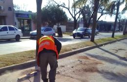 Operativo de limpieza por escombros caídos en la vía pública