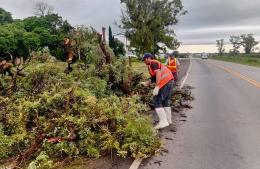 Continúan los trabajos para garantizar el orden frente a las inclemencias climáticas
