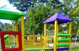 Alerta en el Parque Almafuerte por la presencia de avispas